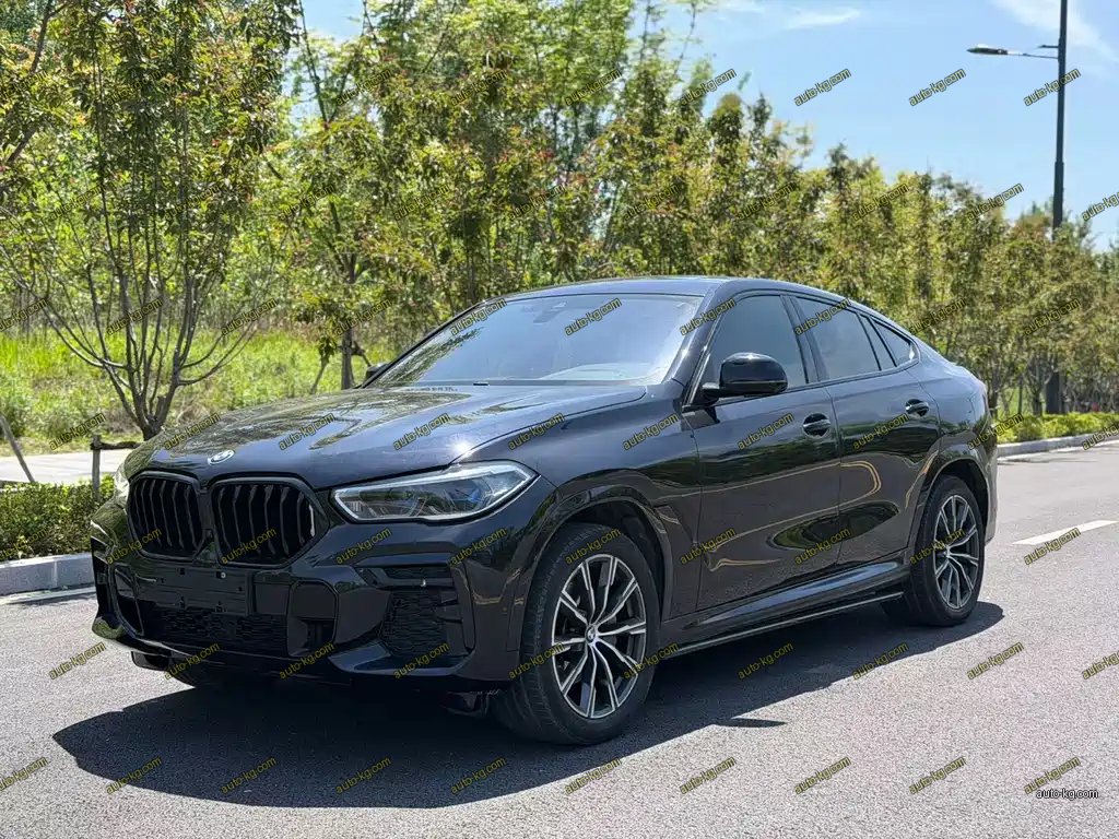 BMW X6 2022