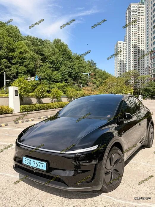 Tesla Model Y 2025