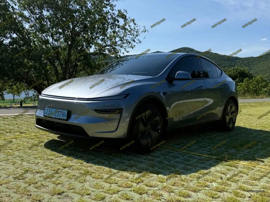 Tesla Model Y 2025