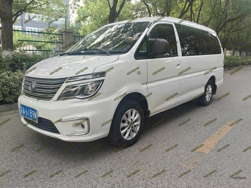 Fengxing Lingzhi 2018