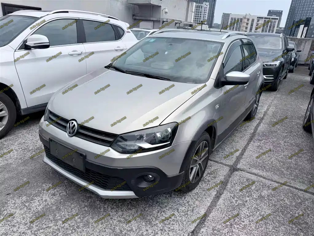 Volkswagen Polo 2013