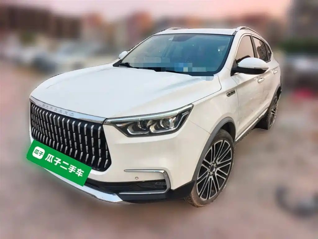 Leopaard Mattu 2018
