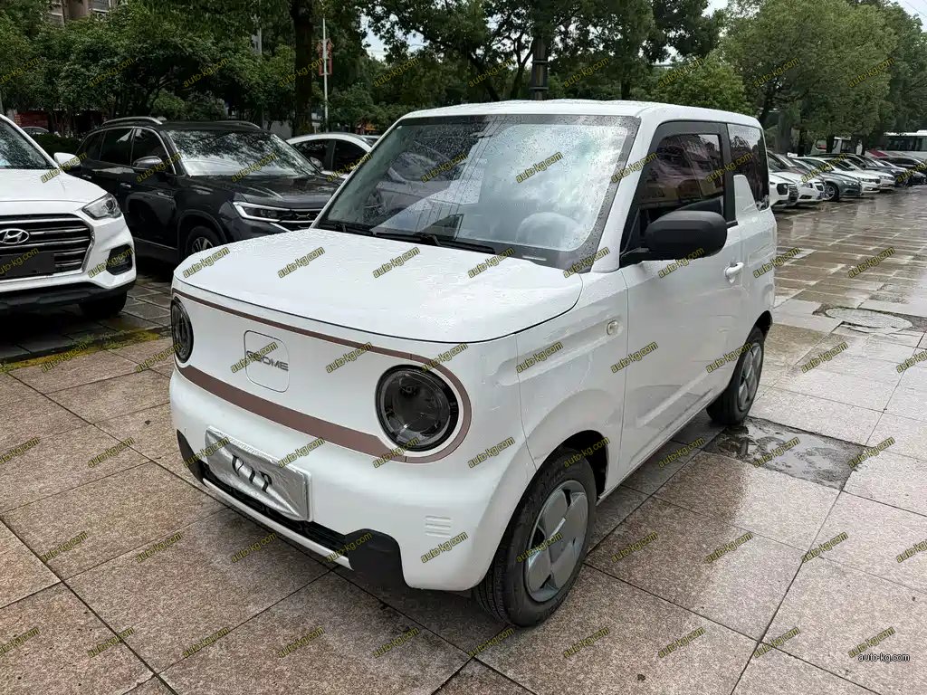 Galaxy Panda 2024