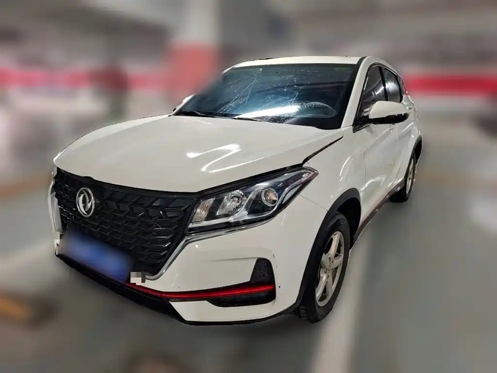 Fengguang Fengguang 500 2021