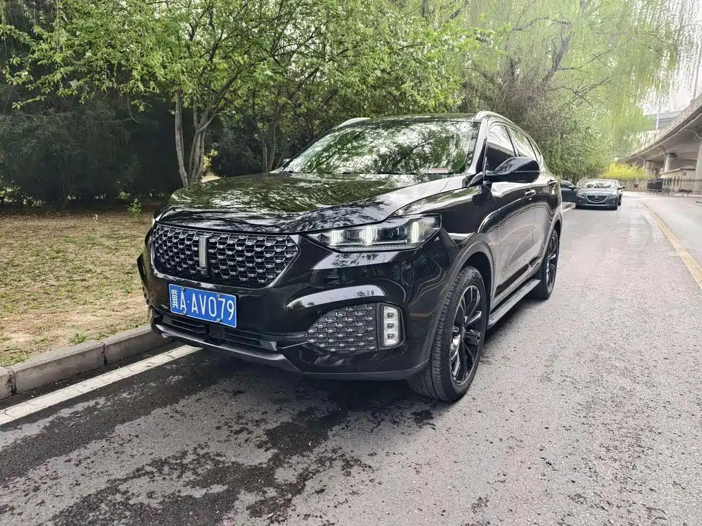 WEY Wey VV6 2020