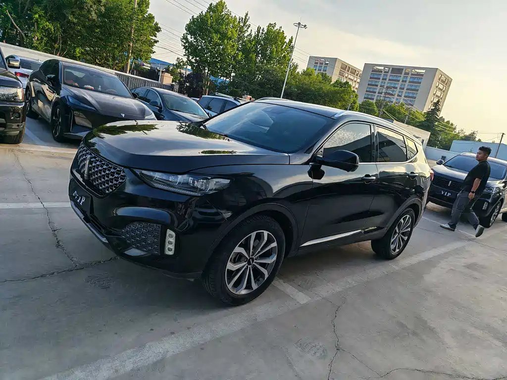 WEY Wey VV6 2020
