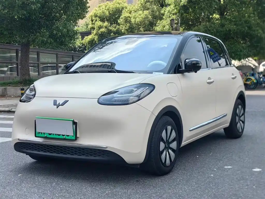 Wuling Bingo 2024