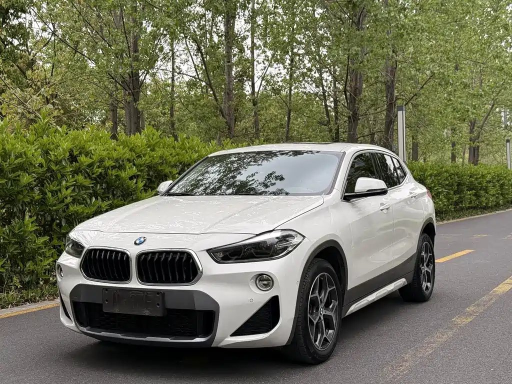 BMW X2 (Import) 2019