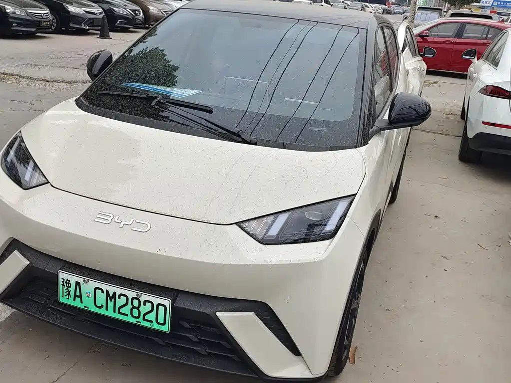 BYD Seagull 2024