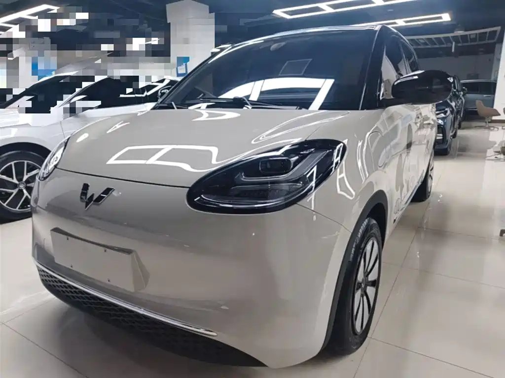 Wuling Bingo 2024