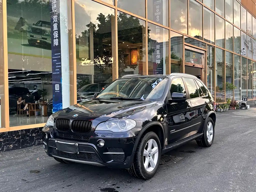BMW X5 (Import) 2010