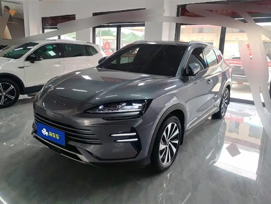 BYD PLUS New Energy 2024