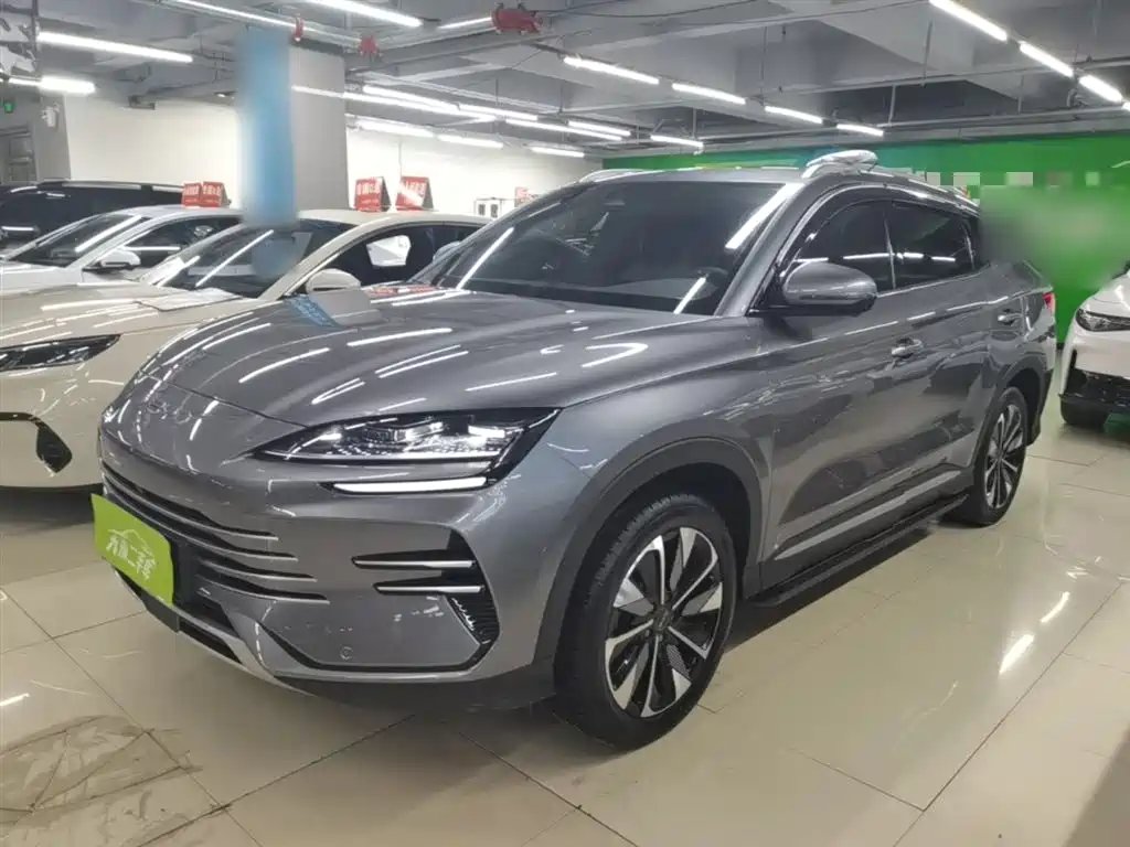 BYD PLUS New Energy 2024