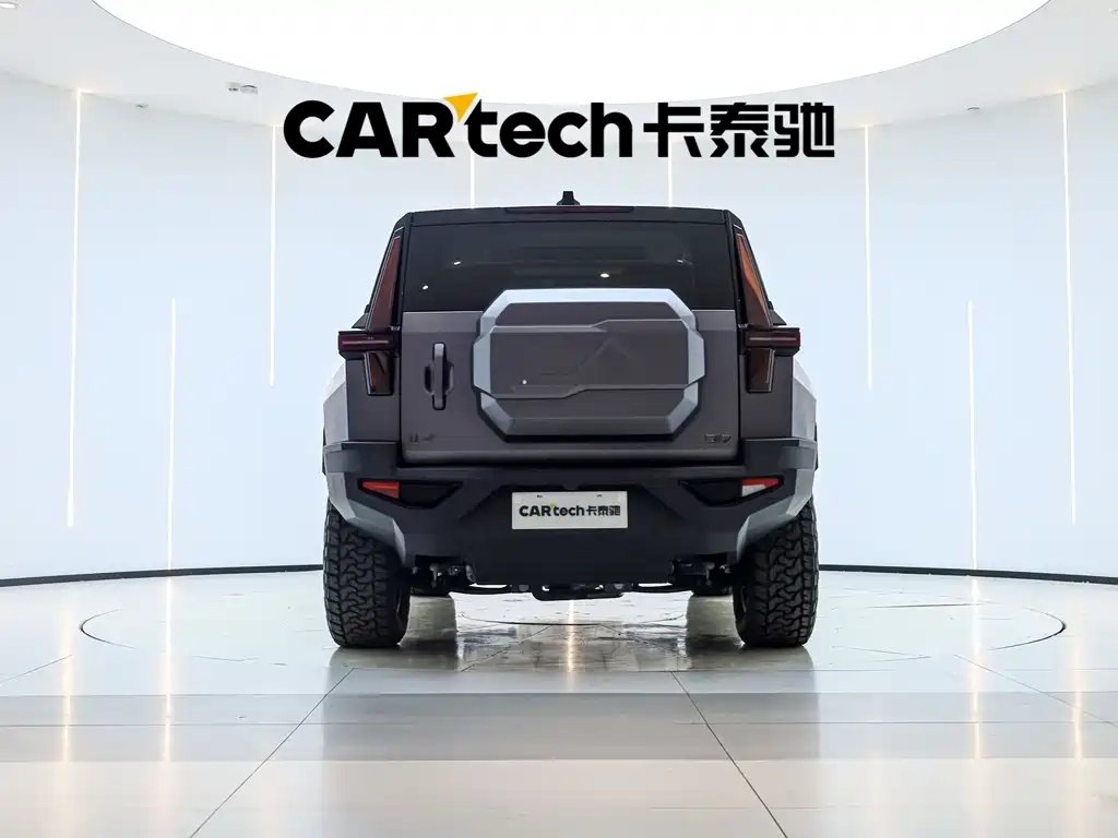Mengshi Mengshi 917 2026