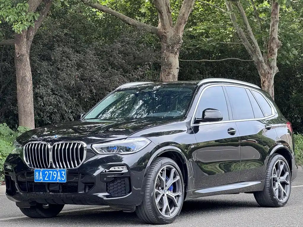 BMW X5 (Import) 2019