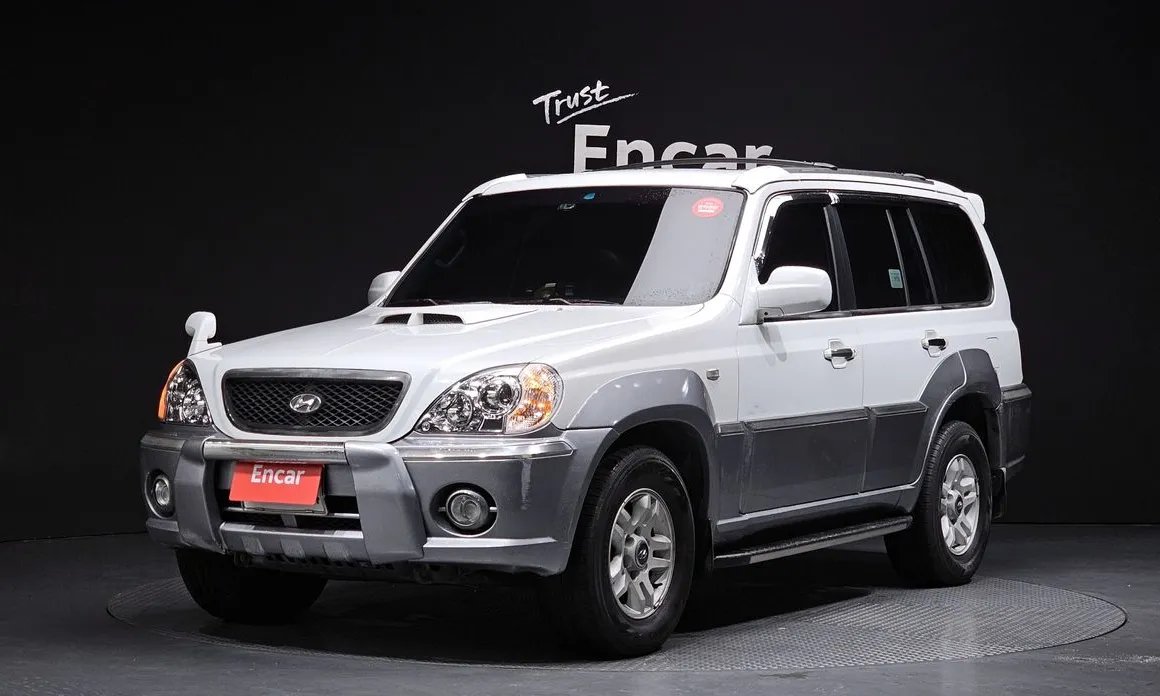 Hyundai Terracan 2003 — фото 1 из 20