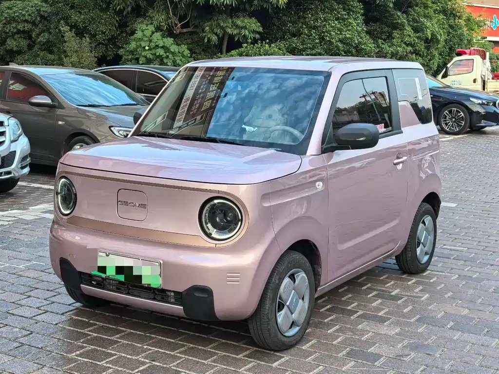 Galaxy Panda 2025