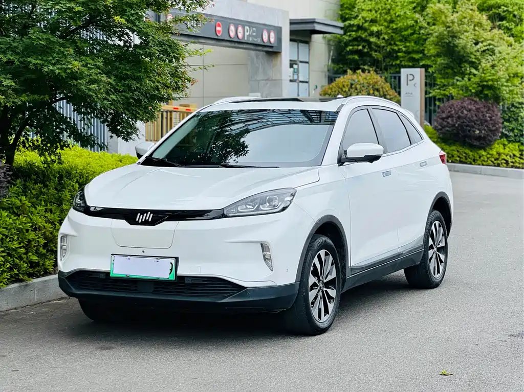 WM Motor EX5 2019