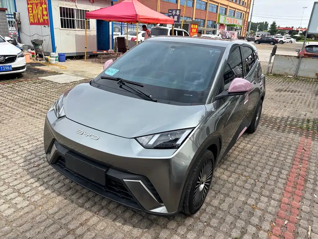 BYD Seagull 2024