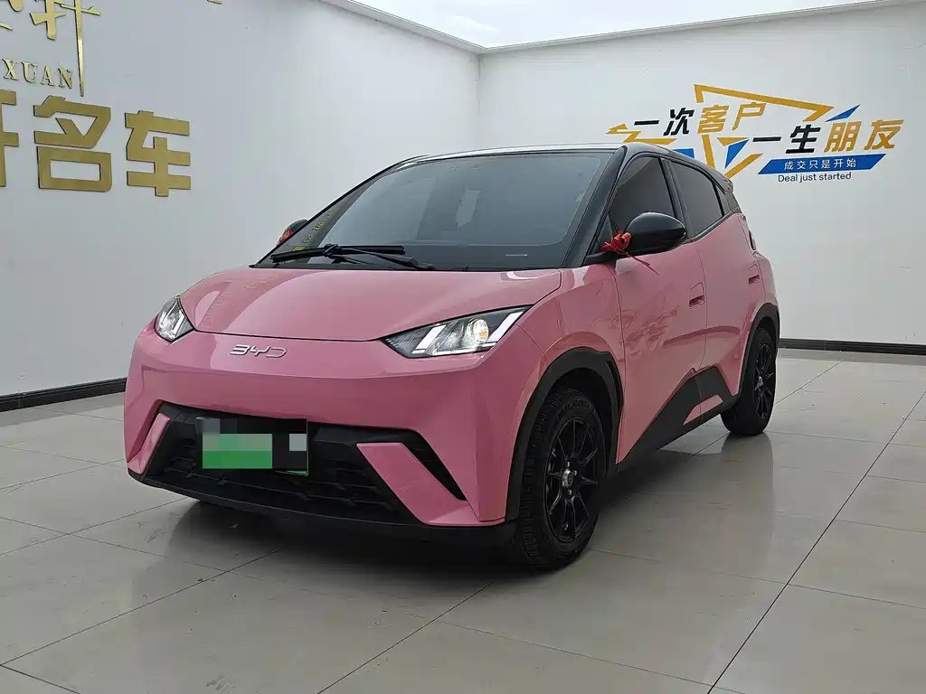 BYD Seagull 2024