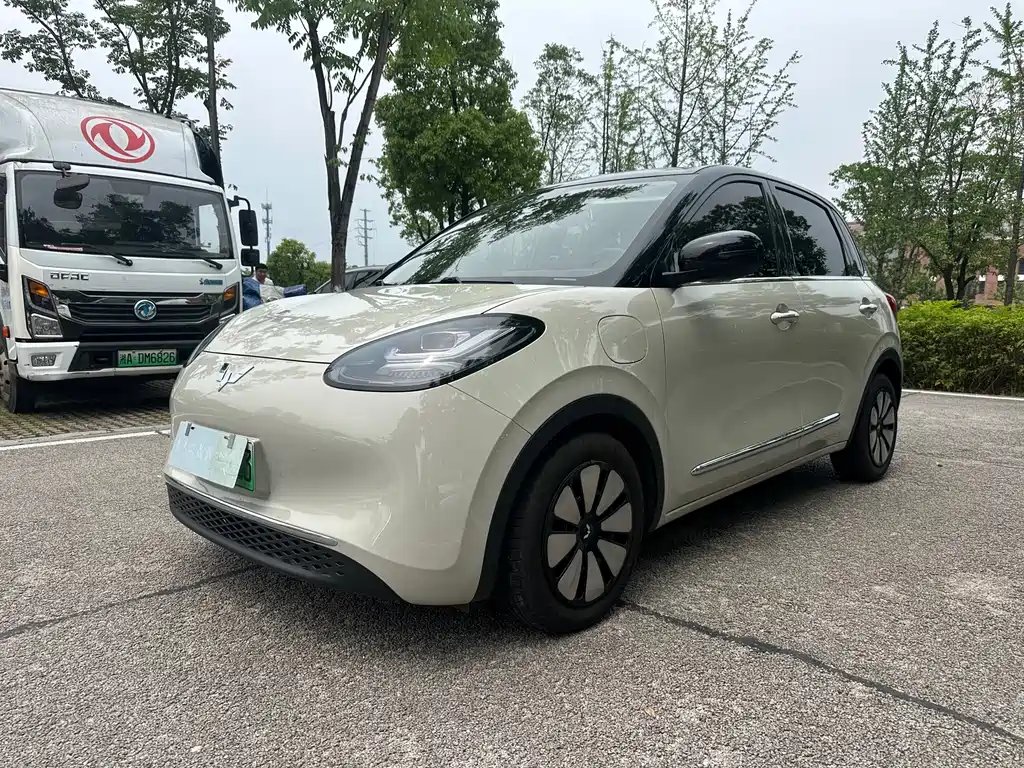 Wuling Bingo 2024