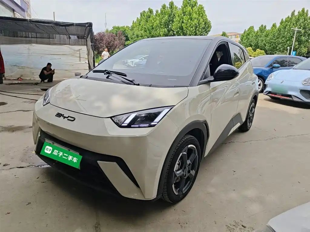 BYD Seagull 2024