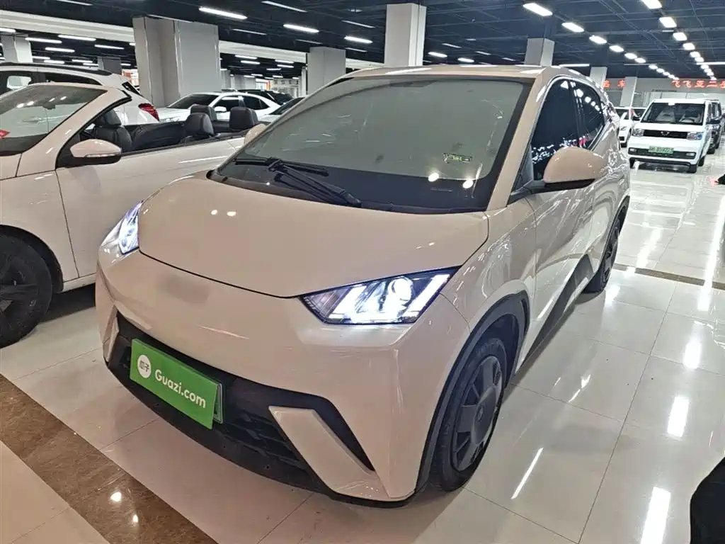 BYD Seagull 2024