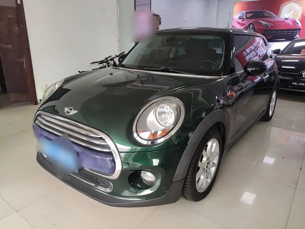 Mini Mini 2016