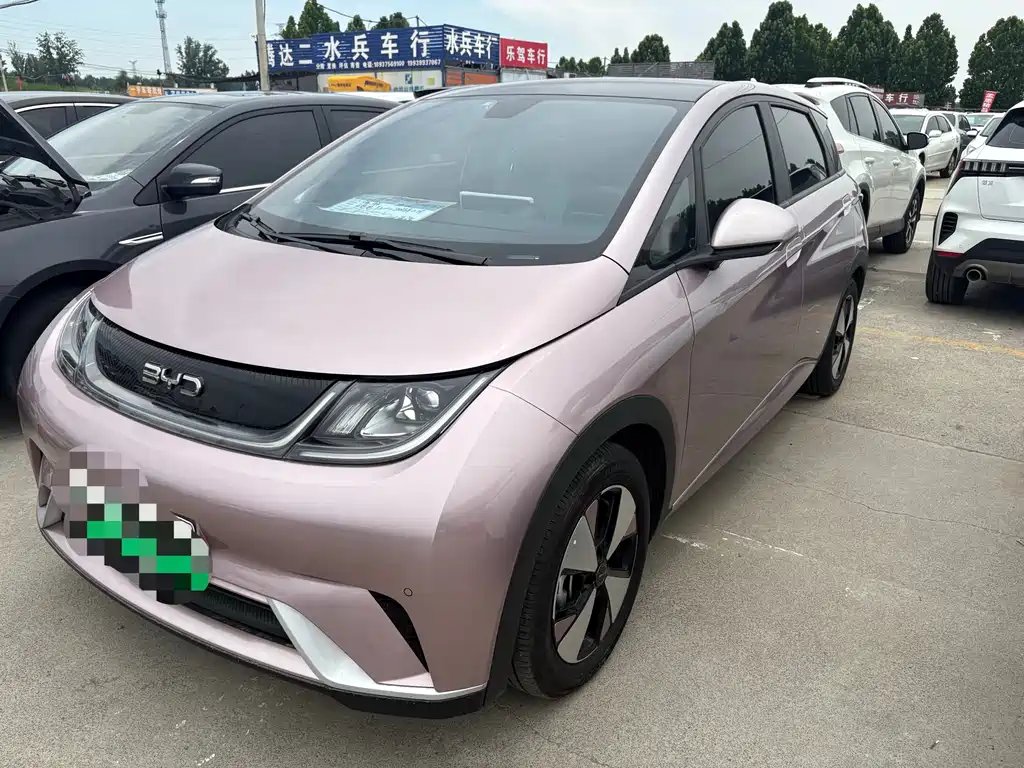 BYD Dolphin 2024