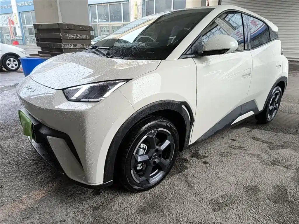 BYD Seagull 2024