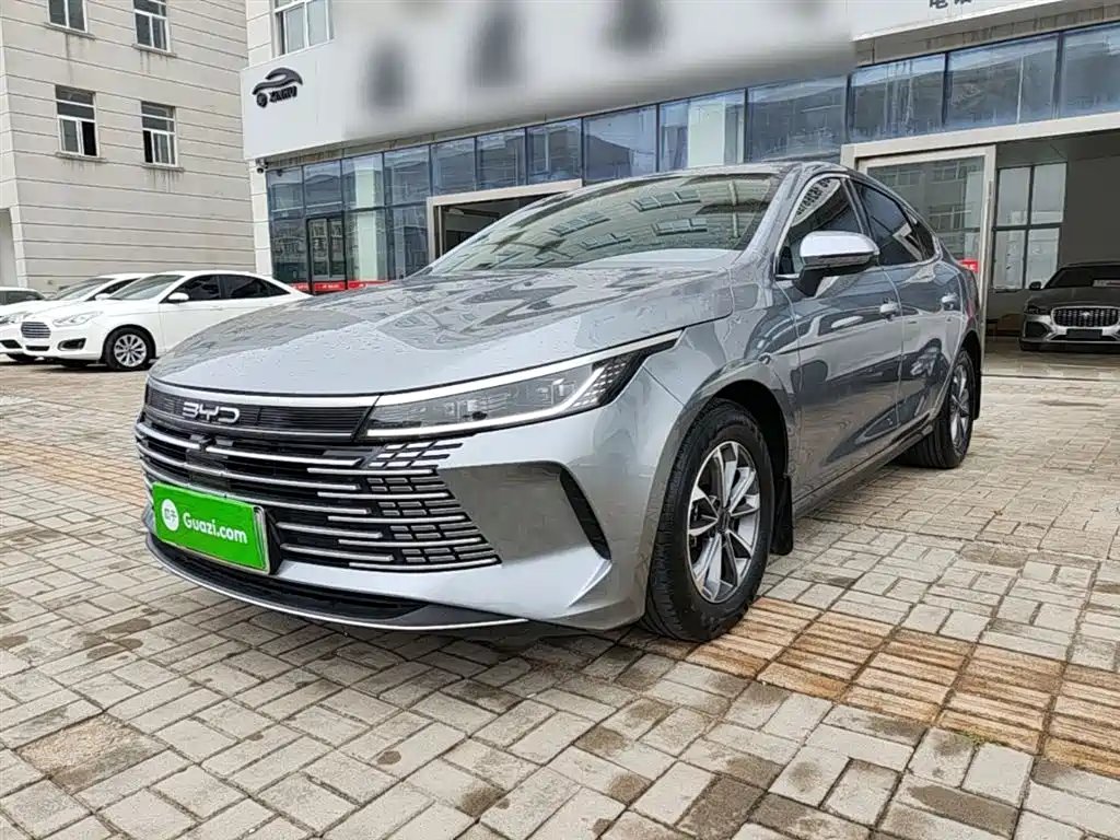 BYD Destroyer 05 2024