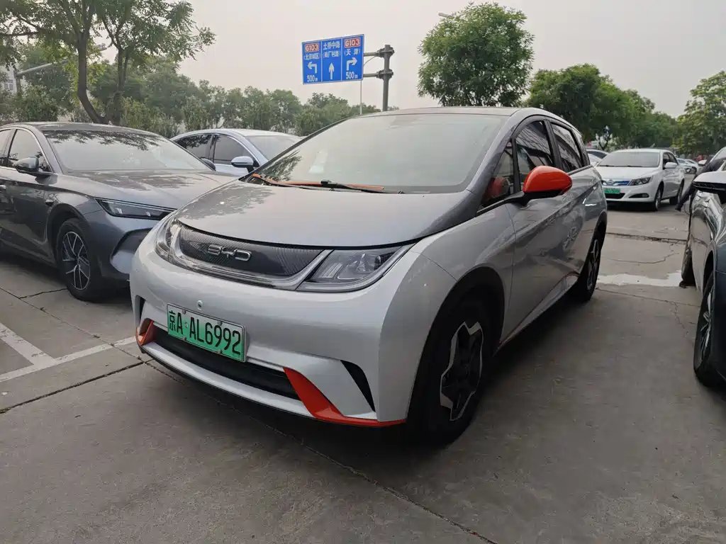 BYD Dolphin 2021