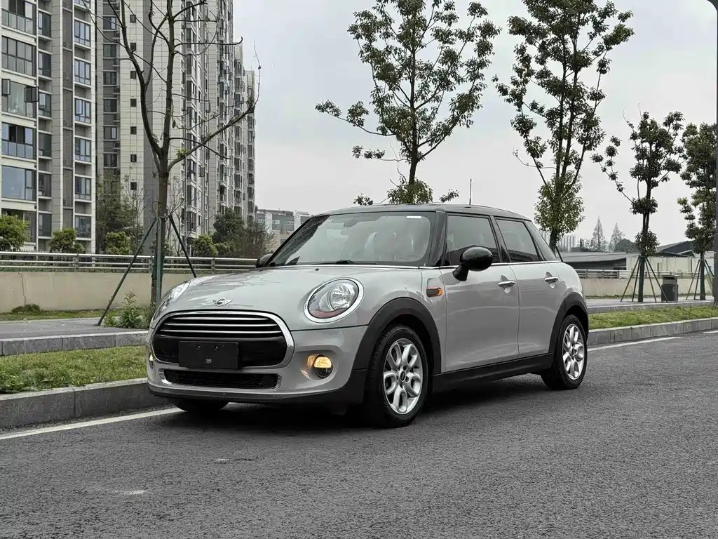 Mini Mini 2015