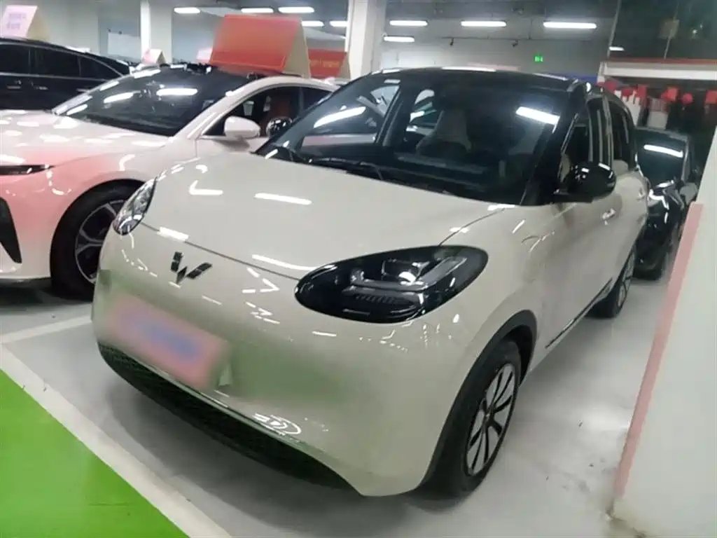 Wuling Bingo 2024