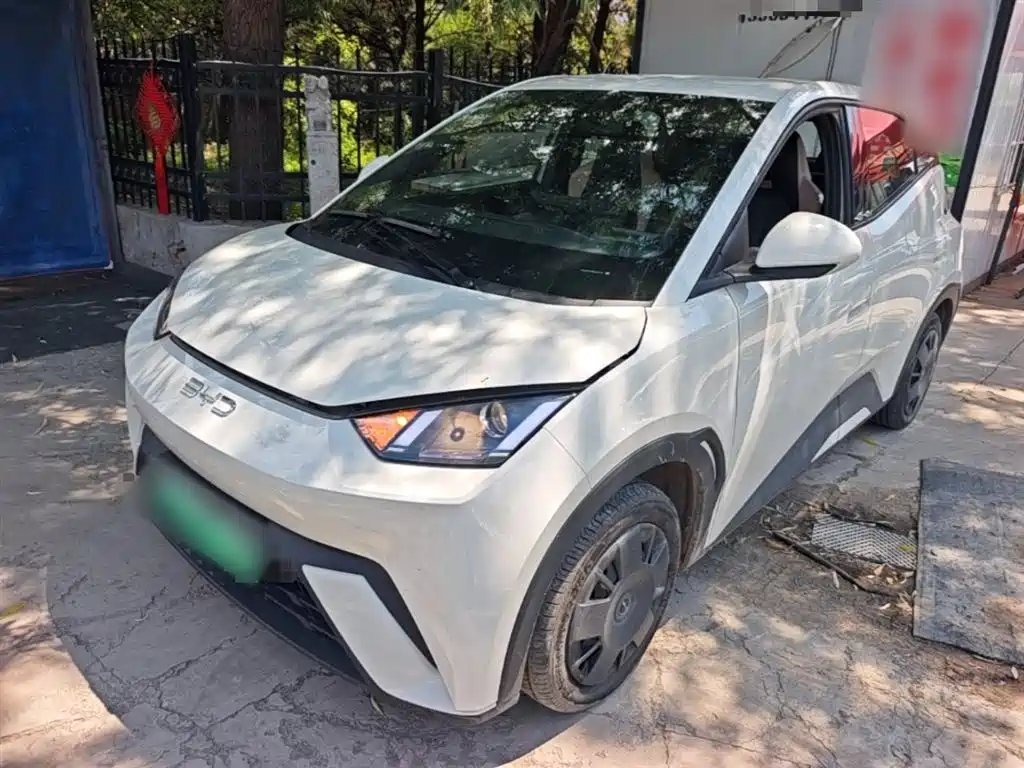 BYD Seagull 2024