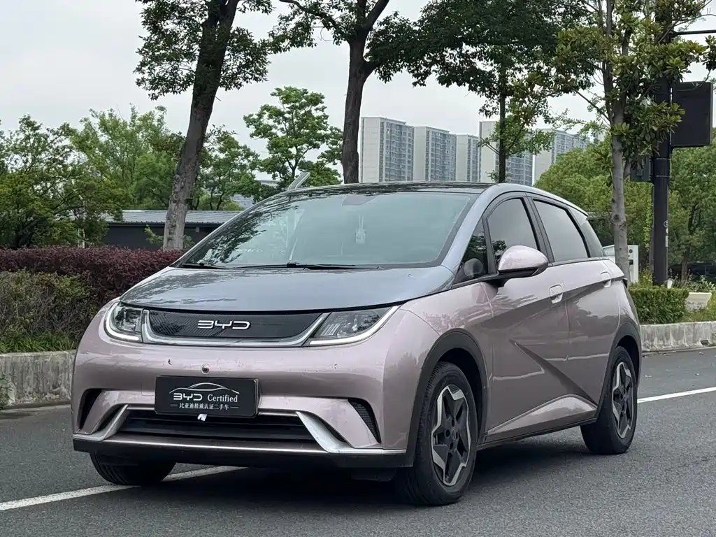 BYD Dolphin 2022