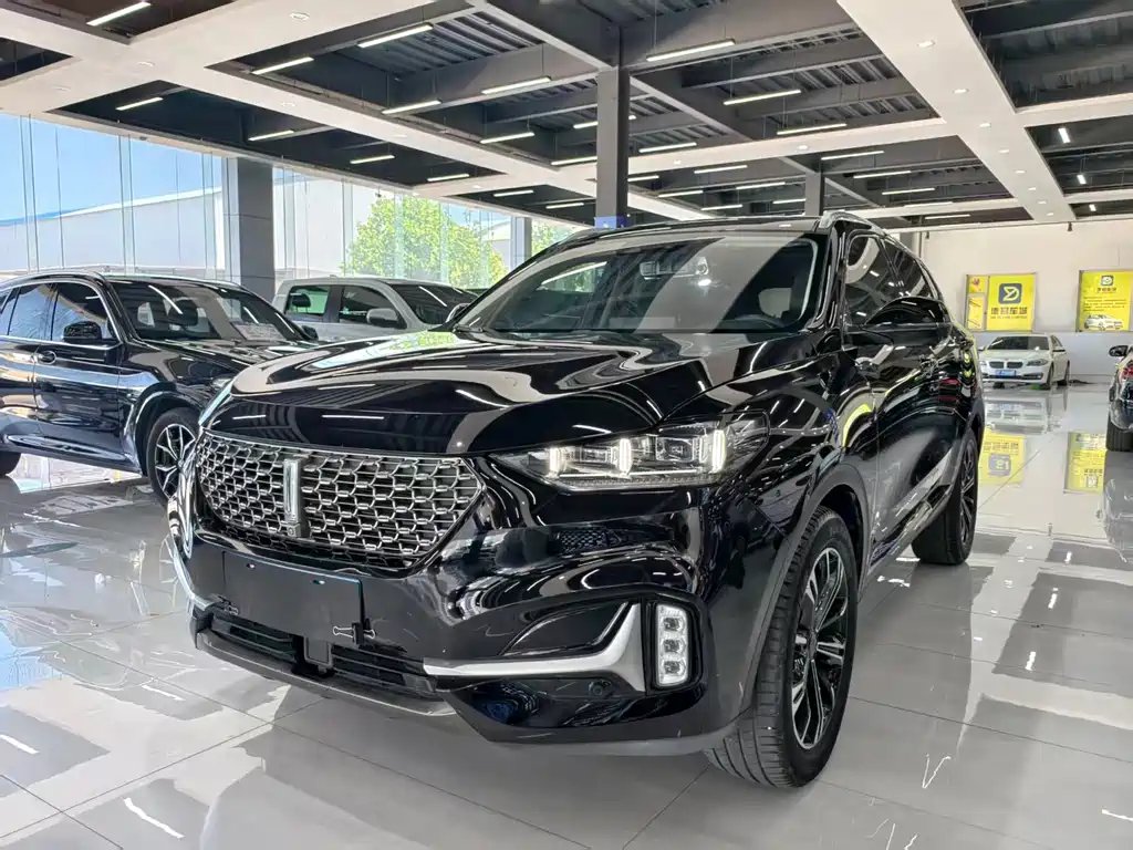 Wey Wey VV6 2021