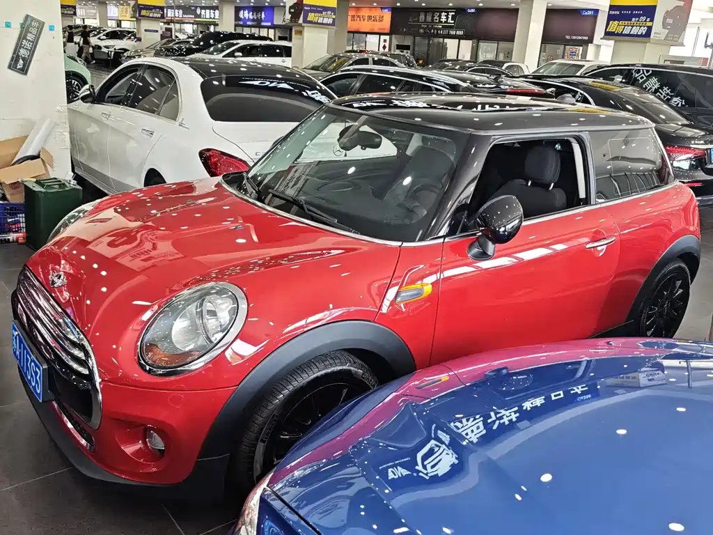 Mini Mini 2017