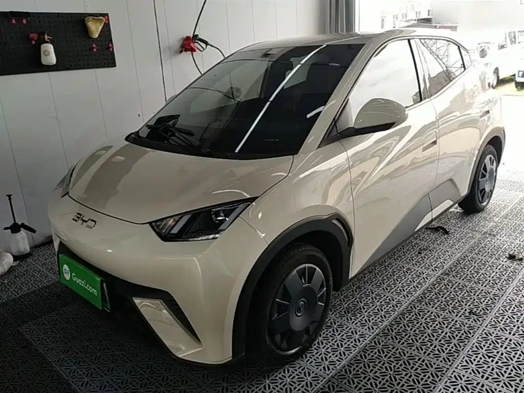 BYD Seagull 2025
