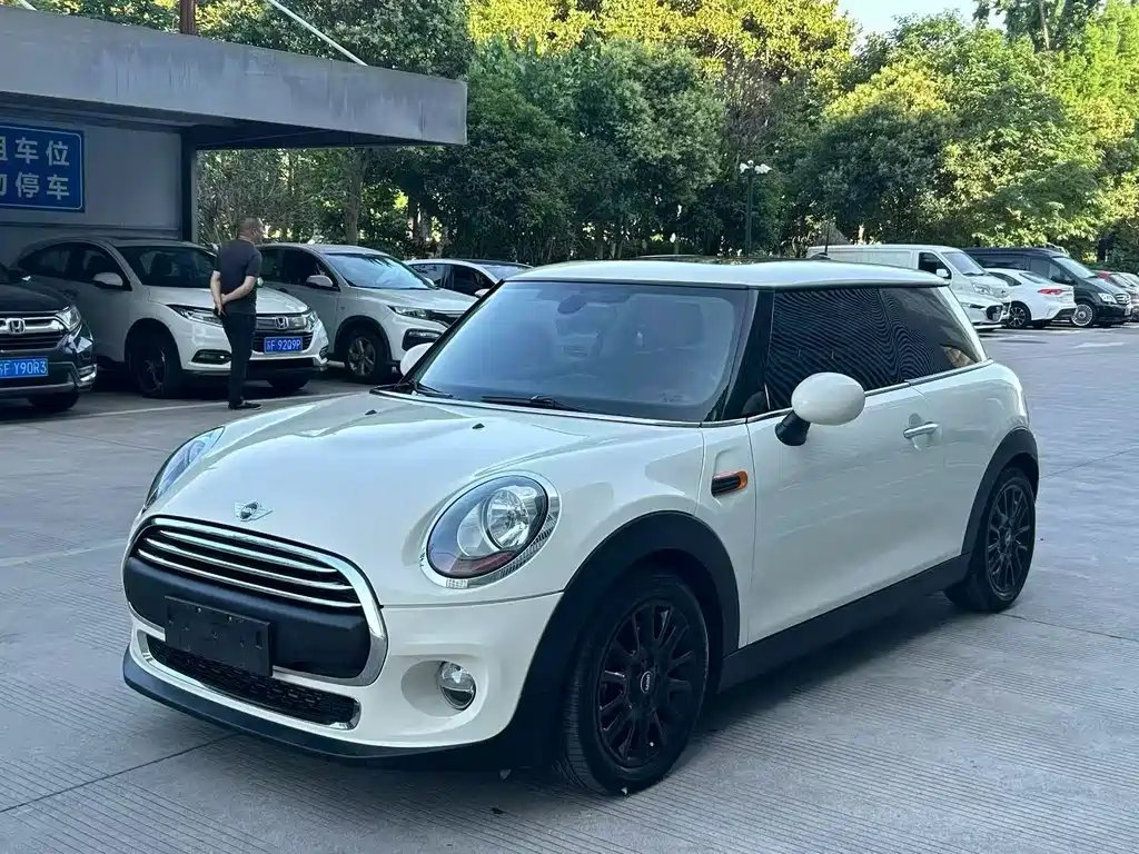 Mini Mini 2017