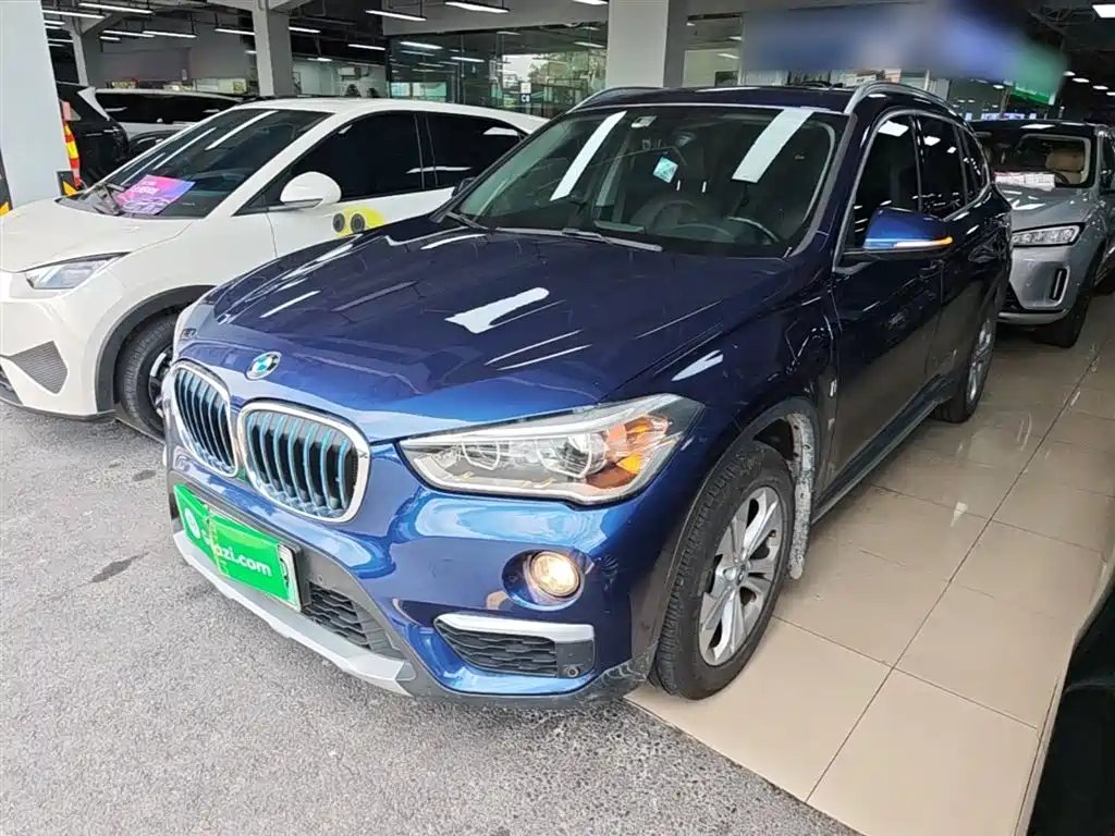 BMW X1 New Energy 2019