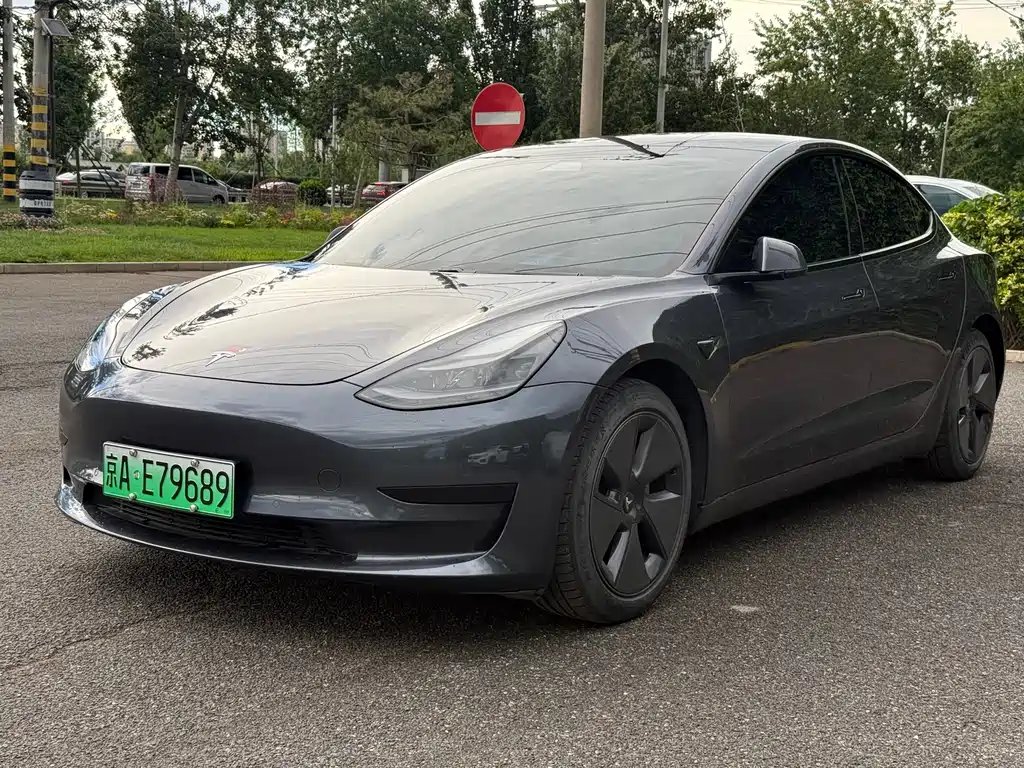 Tesla Model 3 2021