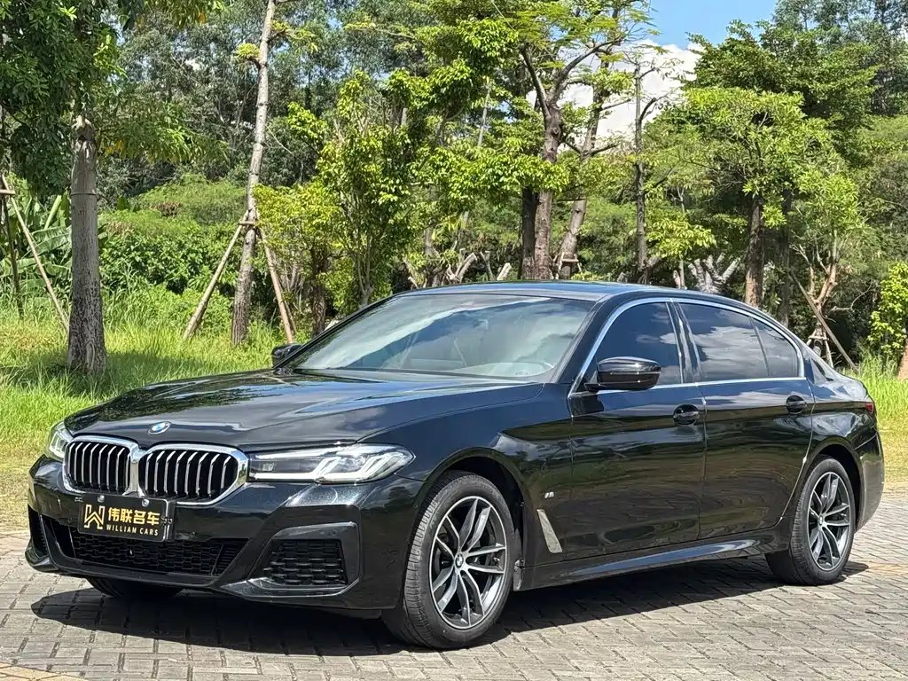BMW 5 Series 2022