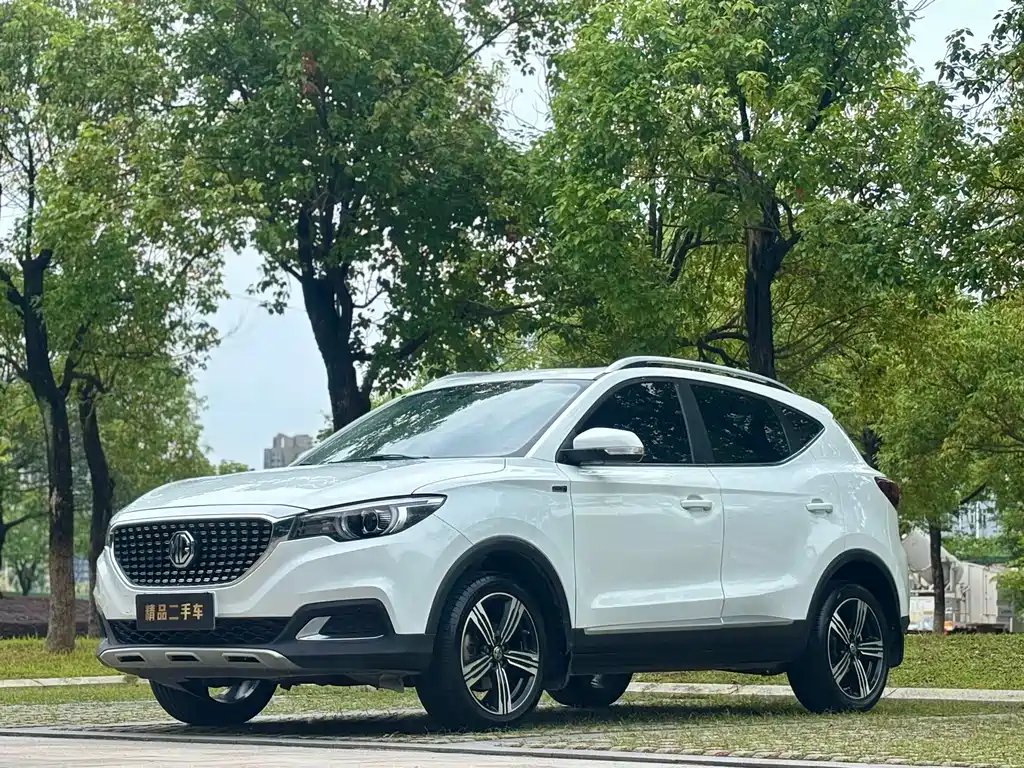 Mg ZS 2020
