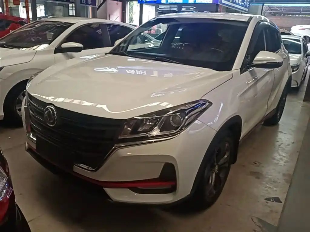 Fengguang Fengguang 500 2021