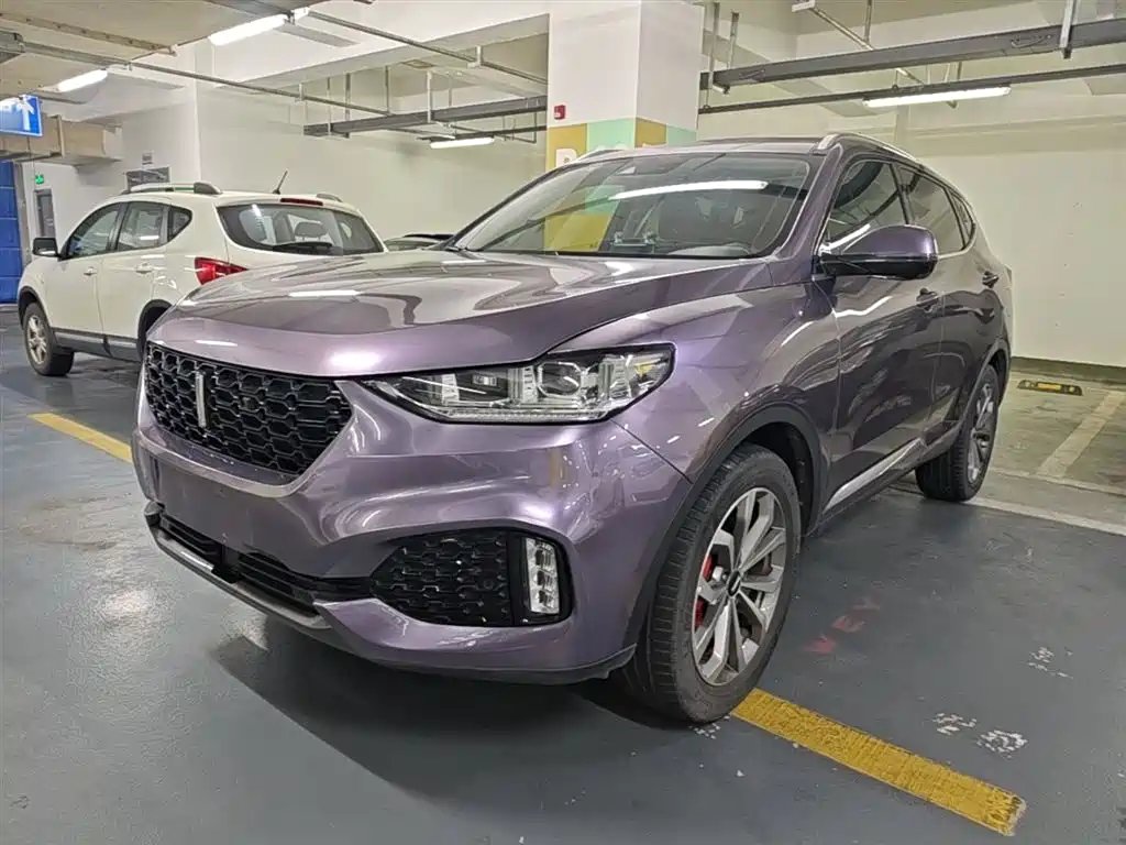 WEY Wey VV6 2019