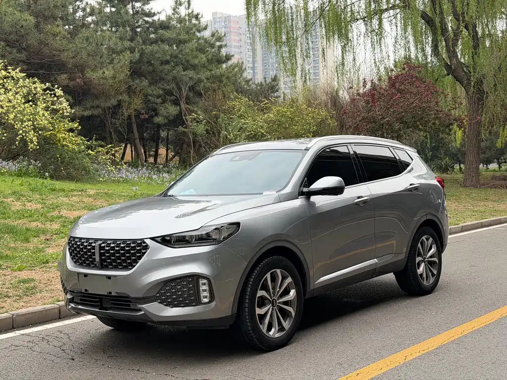 Wey Wey VV6 2020