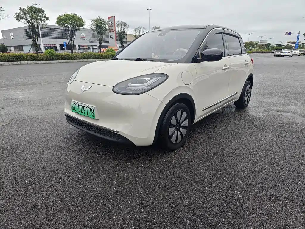 Wuling Bingo 2024