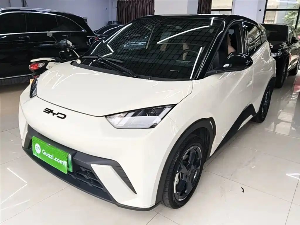 BYD Seagull 2024