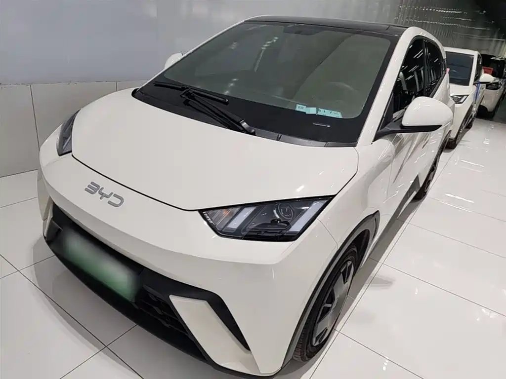 BYD Seagull 2024